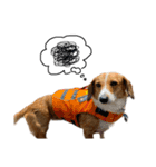犬のこなつスタンプ3（個別スタンプ：9）