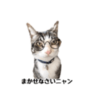 こてつ君LINEスタンプ（個別スタンプ：4）
