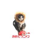 こてつ君LINEスタンプ（個別スタンプ：6）