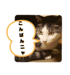 ごえてつ（個別スタンプ：3）