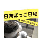 ごえてつ（個別スタンプ：4）