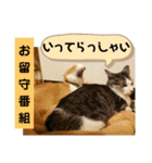 ごえてつ（個別スタンプ：6）