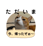 ごえてつ（個別スタンプ：7）