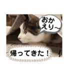 ごえてつ（個別スタンプ：8）