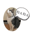 ごえてつ（個別スタンプ：13）