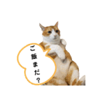 ごえてつ（個別スタンプ：15）