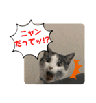 ごえてつ（個別スタンプ：20）