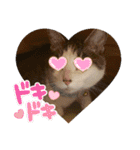 ごえてつ（個別スタンプ：21）