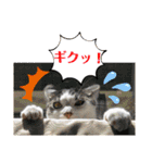 ごえてつ（個別スタンプ：23）