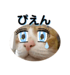 ごえてつ（個別スタンプ：24）