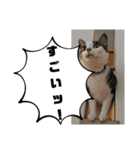 ごえてつ（個別スタンプ：25）