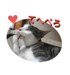ごえてつ（個別スタンプ：26）