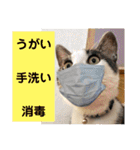 ごえてつ（個別スタンプ：30）
