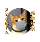 ごえてつ（個別スタンプ：31）