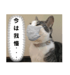 ごえてつ（個別スタンプ：32）