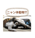 ごえてつ（個別スタンプ：33）