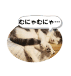 ごえてつ（個別スタンプ：35）