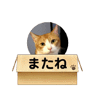 ごえてつ（個別スタンプ：40）