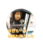 ふさのミニチュアハウス（個別スタンプ：8）
