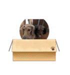 ちえこちえこ2（個別スタンプ：29）