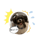 てつの気持ち2（個別スタンプ：14）