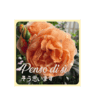 イタリア語と日本語、薔薇と空（個別スタンプ：14）