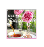 イタリア語と日本語、薔薇と空（個別スタンプ：16）