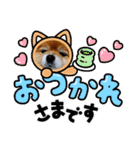 ポメラニアン,ラブの日々6（個別スタンプ：8）