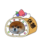 ポメラニアン,ラブの日々6（個別スタンプ：9）