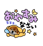 ポメラニアン,ラブの日々6（個別スタンプ：35）