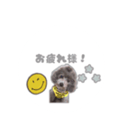 リンのスタンプ♥（個別スタンプ：2）