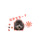 リンのスタンプ♥（個別スタンプ：3）