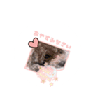 リンのスタンプ♥（個別スタンプ：5）