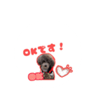 リンのスタンプ♥（個別スタンプ：8）