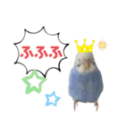 お家のインコさんたち（Team SiX）（個別スタンプ：4）