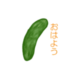 野菜の挨拶です（個別スタンプ：13）