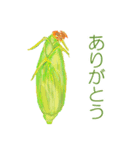 野菜の挨拶です（個別スタンプ：17）