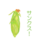 野菜の挨拶です（個別スタンプ：18）