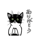 ハチワレさん日常会話関西弁多し（個別スタンプ：28）