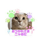 トラジロウの毎日使える一言ワードスタンプ（個別スタンプ：22）