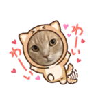 トラジロウの毎日使える一言ワードスタンプ（個別スタンプ：39）