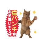 猫好きさんのネコスタンプ（個別スタンプ：35）
