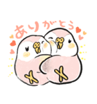 ぽよよんアキクサインコ（個別スタンプ：3）