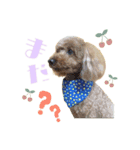 ・マロン＆ココ・（個別スタンプ：4）