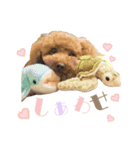 ・マロン＆ココ・（個別スタンプ：5）