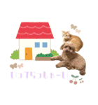 ・マロン＆ココ・（個別スタンプ：7）