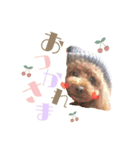・マロン＆ココ・（個別スタンプ：10）