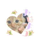・マロン＆ココ・（個別スタンプ：12）