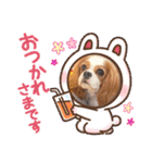 キャバリア❤︎メイ（個別スタンプ：7）