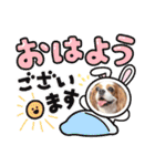 キャバリア❤︎メイ（個別スタンプ：12）